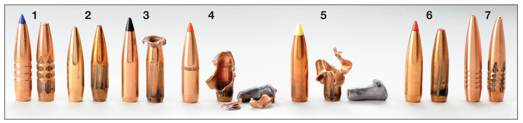 These .277-inch diameter 130-grain bullets were recovered from wet newspapers (left to right): (1) Barnes 129-grain LRX BT with a velocity of 1,565 fps just prior to impact, 16-inch penetration; (2) Berger 130 VLD Hunting, 1,542 fps, 17 inches; (3) Swift 130 Scirocco II, 1,548 fps, 15 inches; (4) Hornady 130 SST, 1,513, 9 inches; (5) Nosler 130 Ballistic Tip, 1,538, 11 inches; (6) Hornady 130 InterBond, 1,513, 15 inches; (7) Hammer 126, 1,573, 15 inches.
